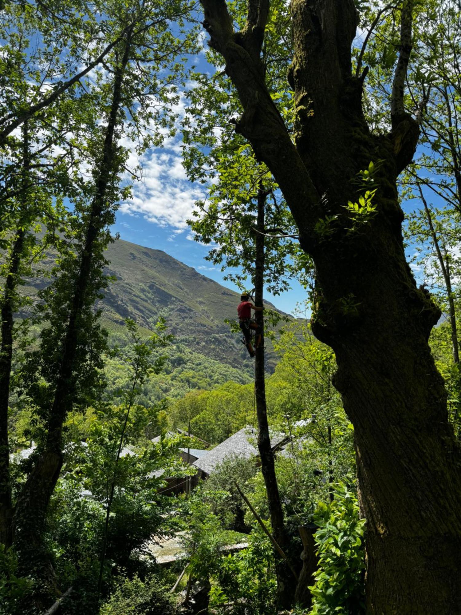 Holiday home Lar Da Cima