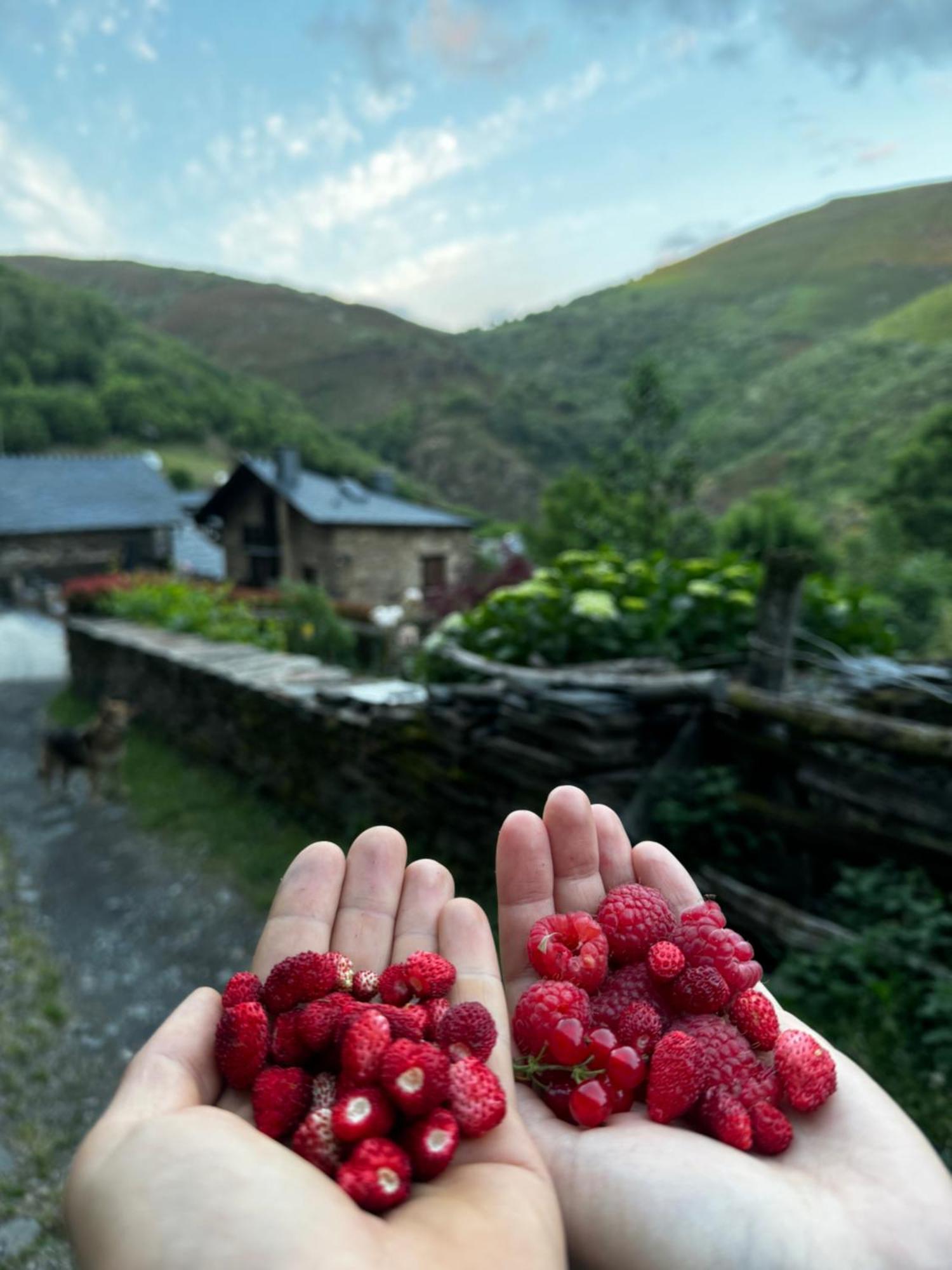 Lar Da Cima