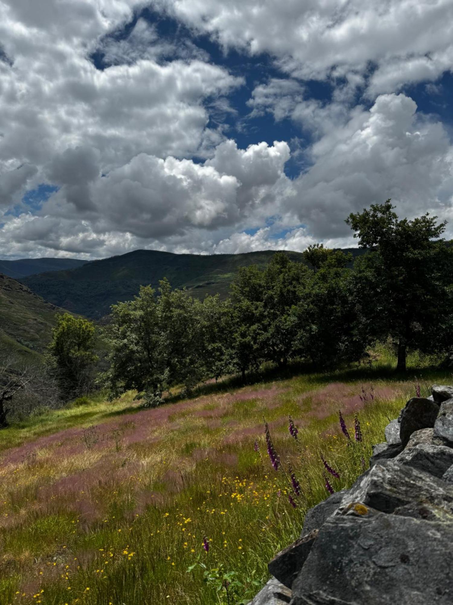 Holiday home Lar Da Cima Folgoso do Courel